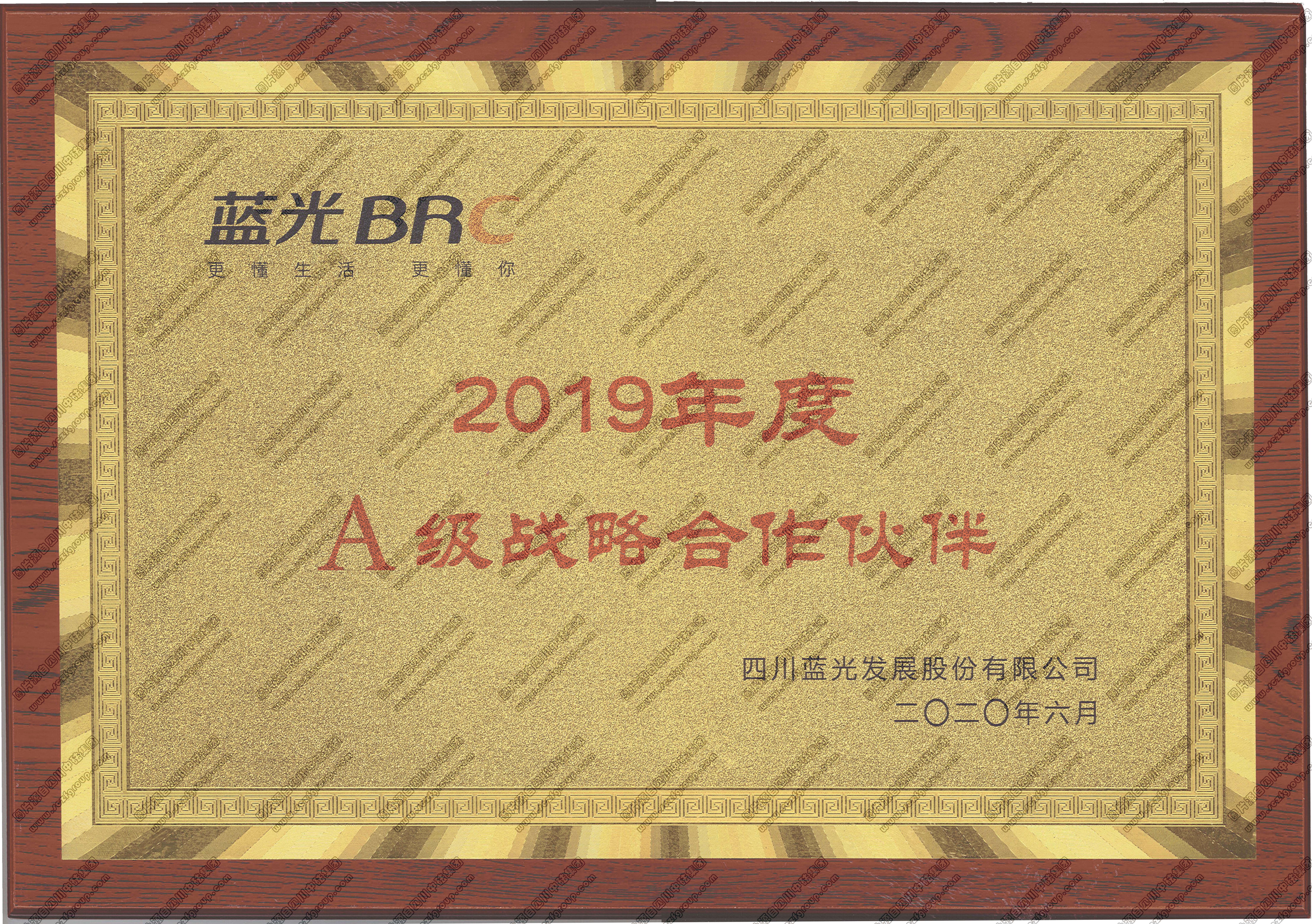獎(jiǎng)牌：藍(lán)光BRC 2019年度A級戰(zhàn)略合作伙伴